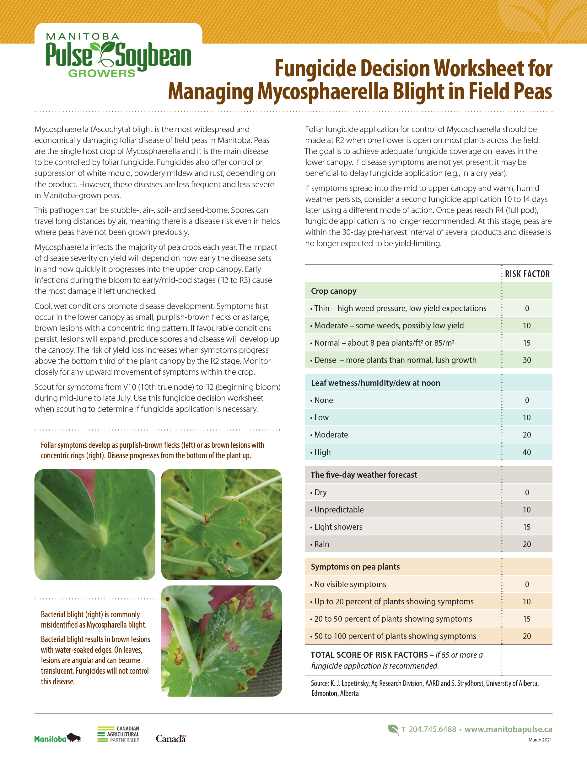 Foliar Fungicide Decision Making In Peas – Manitoba Pulse & Soybean Growers