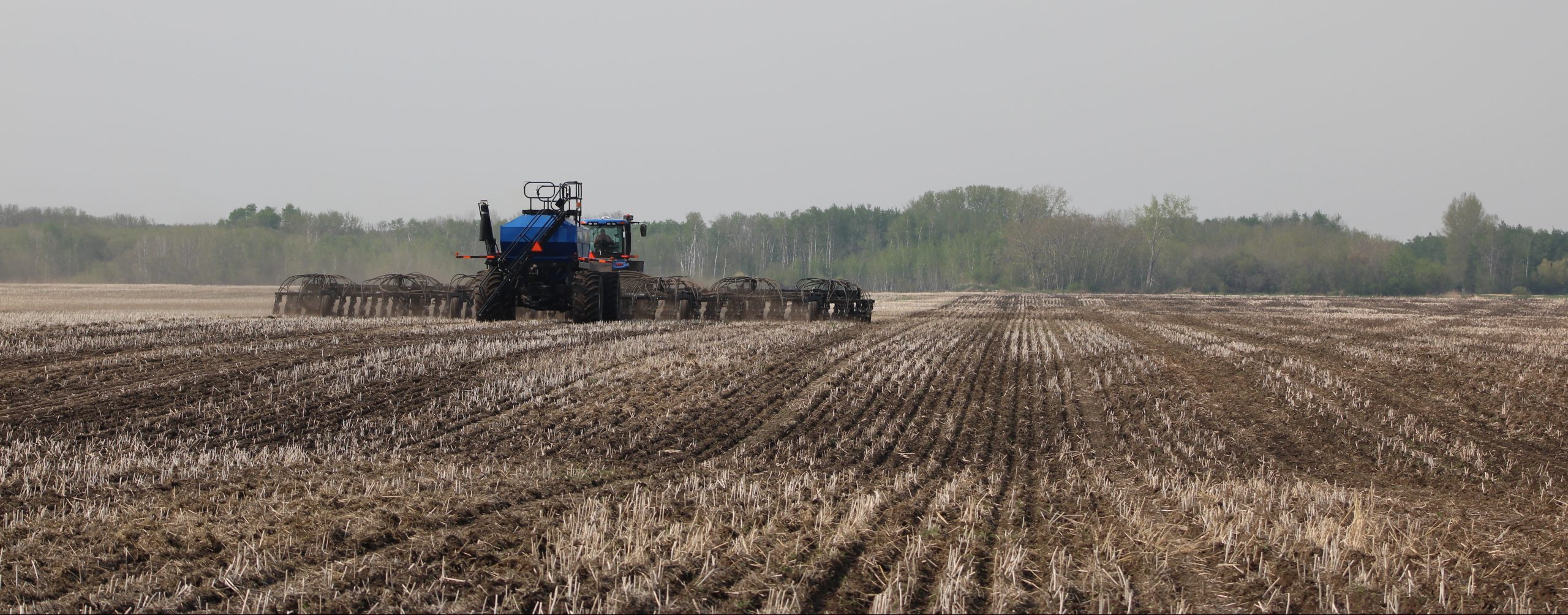 The Bean Report May 24 2023 Manitoba Pulse Soybean Growers   20230516 PSR02 Dauphin Establishment IMG 0044 Scaled E1684520882783 