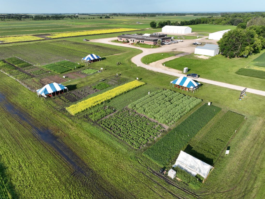 Crop Diagnostic School 