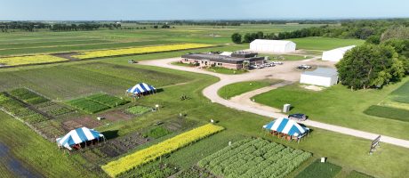 Crop Diagnostic School