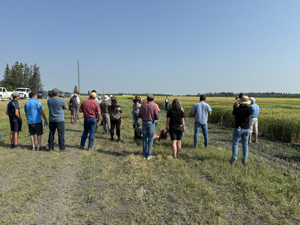 Prairies East Sustainable Agriculture Initiative’s field day