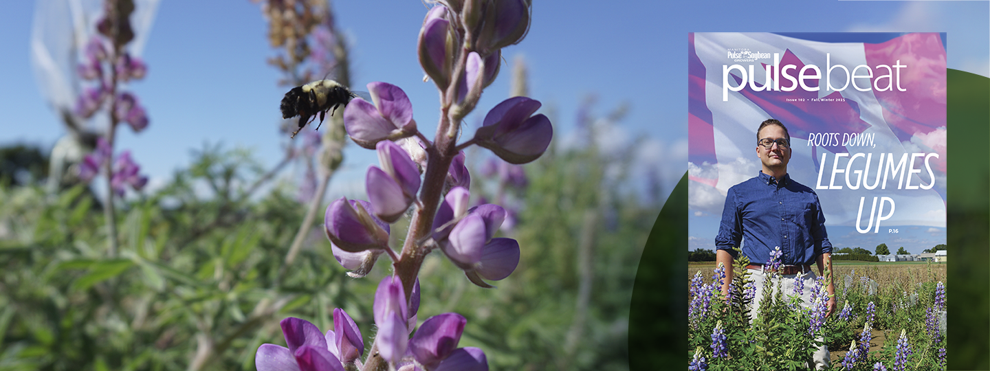 Pulse Beat 2025 fall/winter website header