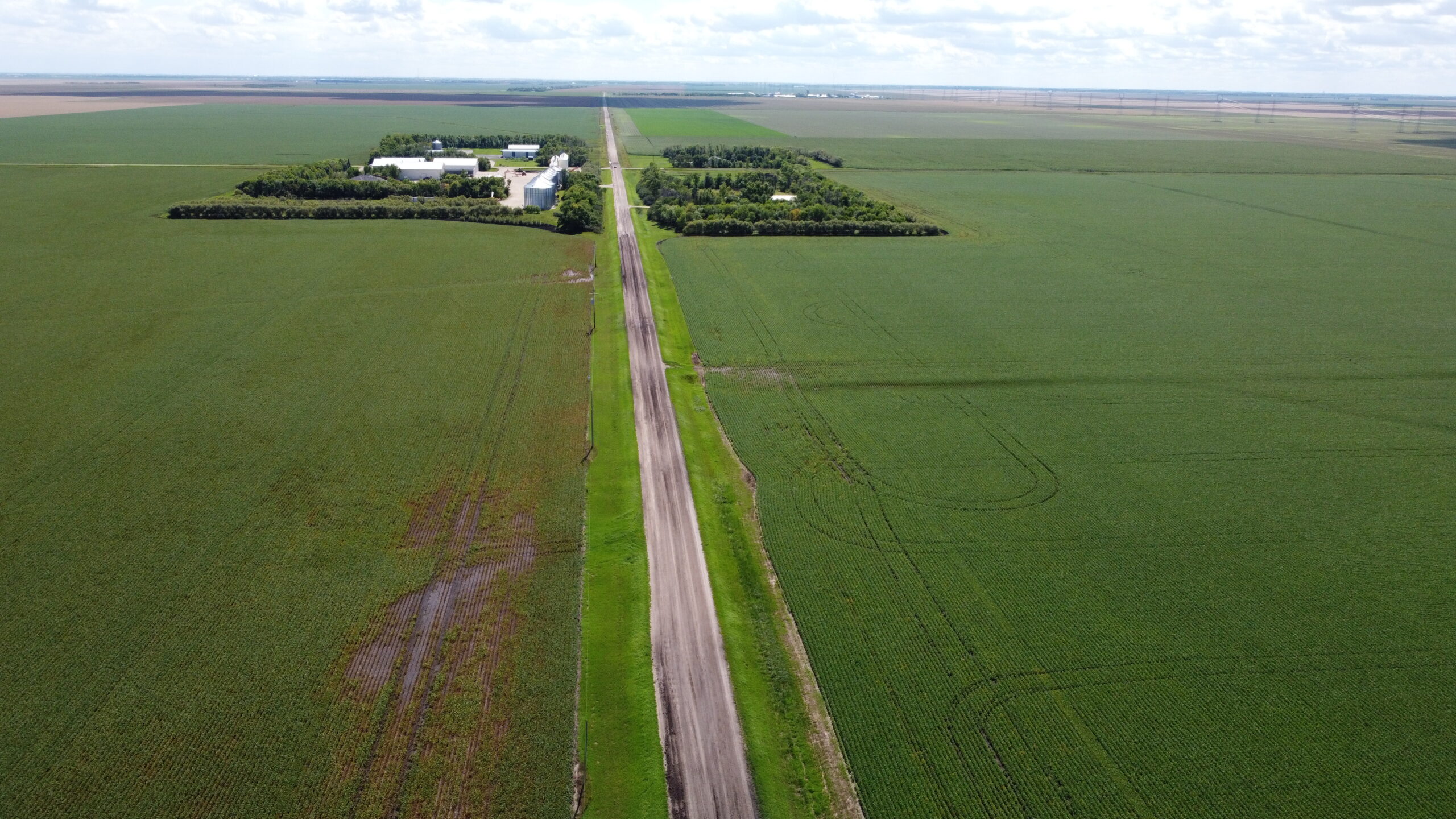 greater salt tolerance