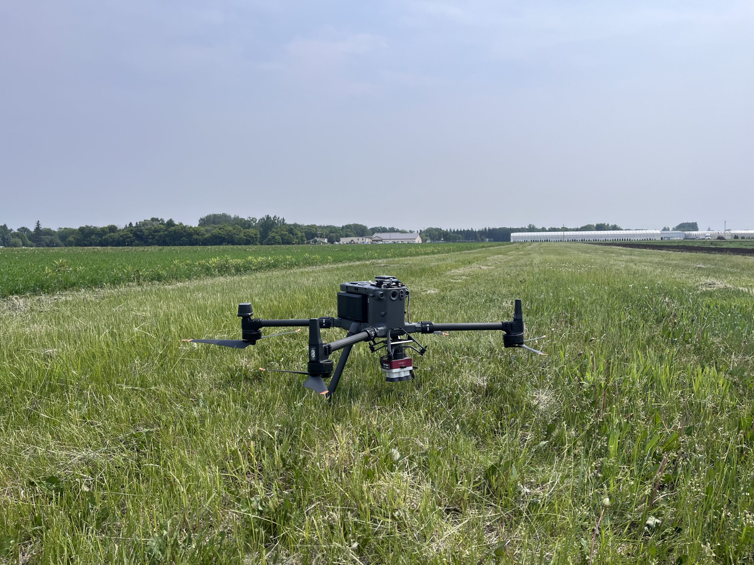 drone in the field