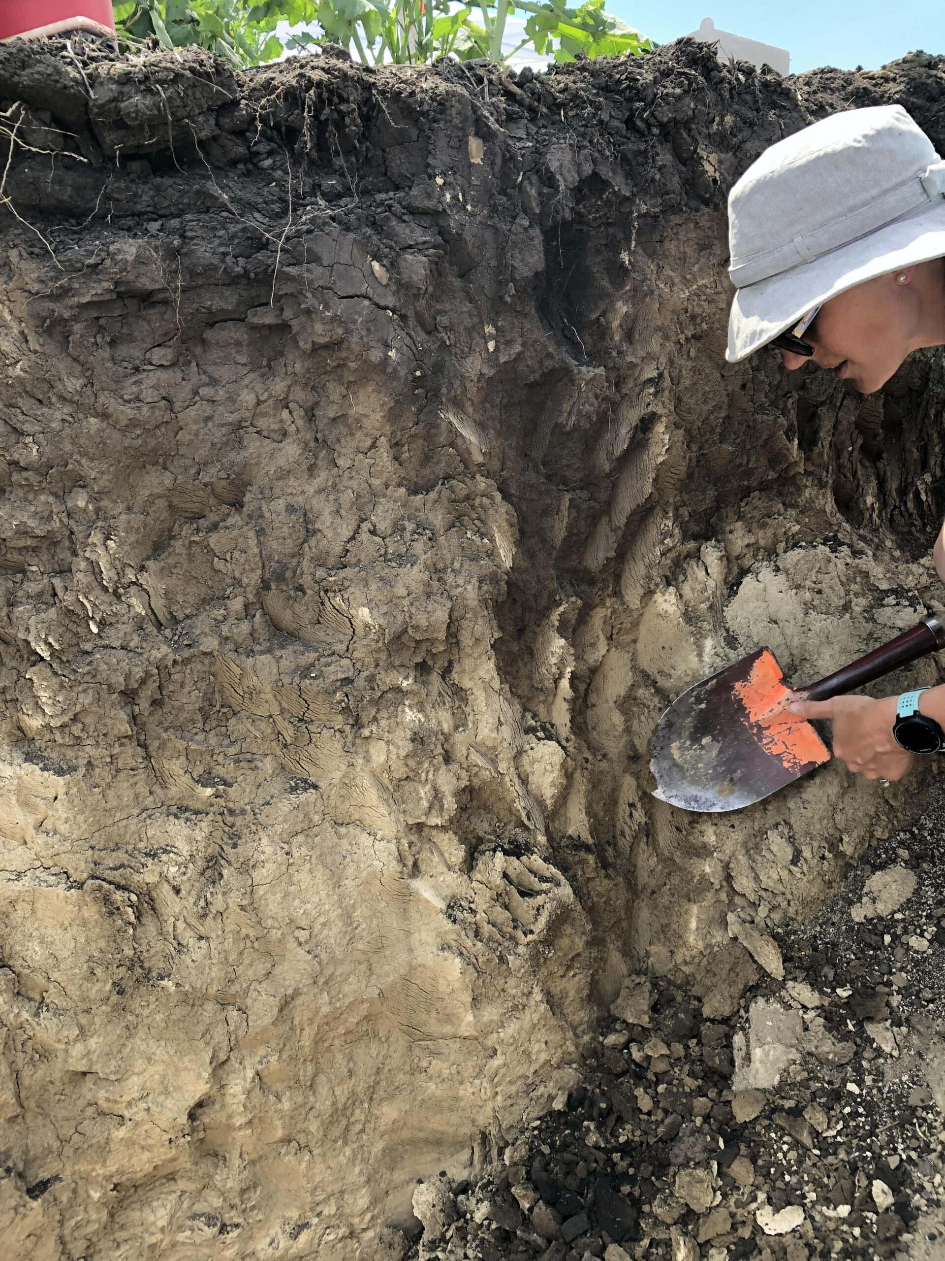 Marla examines a soil profile