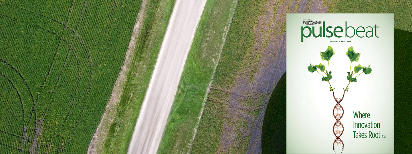 Pulse Beat spring 2026 header